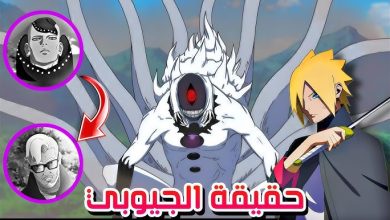 مانجا بوروتو دوامتان زرقاوتان الفصل 14