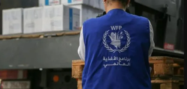 رابط التسجيل الجديد في برنامج الغذاء العالمي غزة